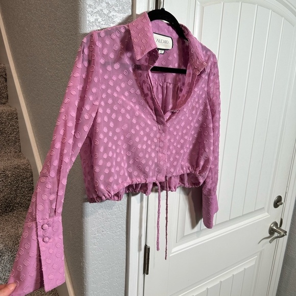 Alexis Kaja Cropped Blouse Top PINK sheer - Picture 8 of 12